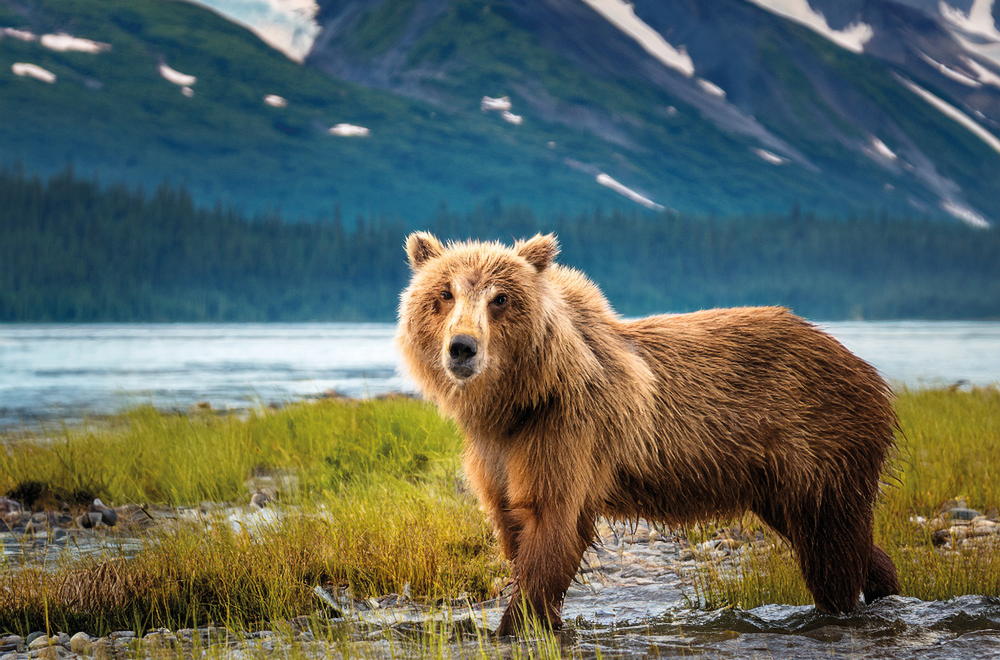 Cruise Blog, Beyond the Ice: Life and Culture in the Soul of Alaska